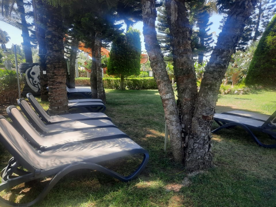 Gartenanlage Side Sun Hotel