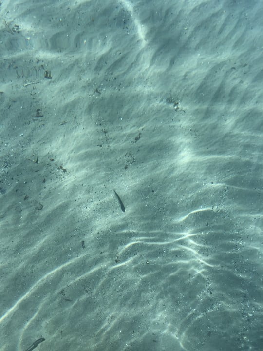 Sonstiges Hotel Albatros