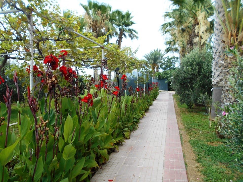 Gartenanlage Oscar Resort Hotel