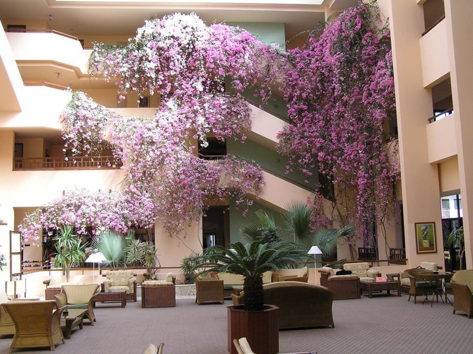 blumen in der lobby Justiniano Park Conti