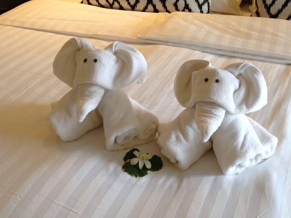 Herzlich willkommen im Moracea  Moracea by Khao Lak Resort