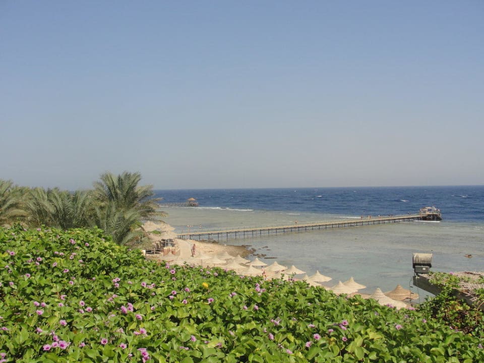 Widok na morze. Hotel Nubian Village