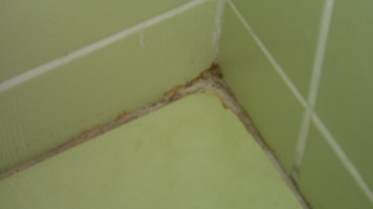 Überrall im Bad Schimmel Hotel Orfeus Park