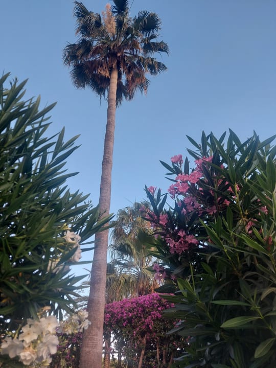 Sonstiges Hotel Miramare Beach