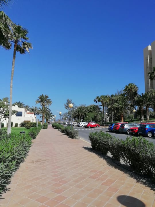 Gartenanlage Hotel Riu Oliva Beach - Hotel