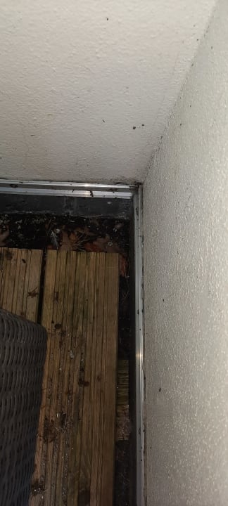 Zimmer Aurelia Hotel St. Hubertus