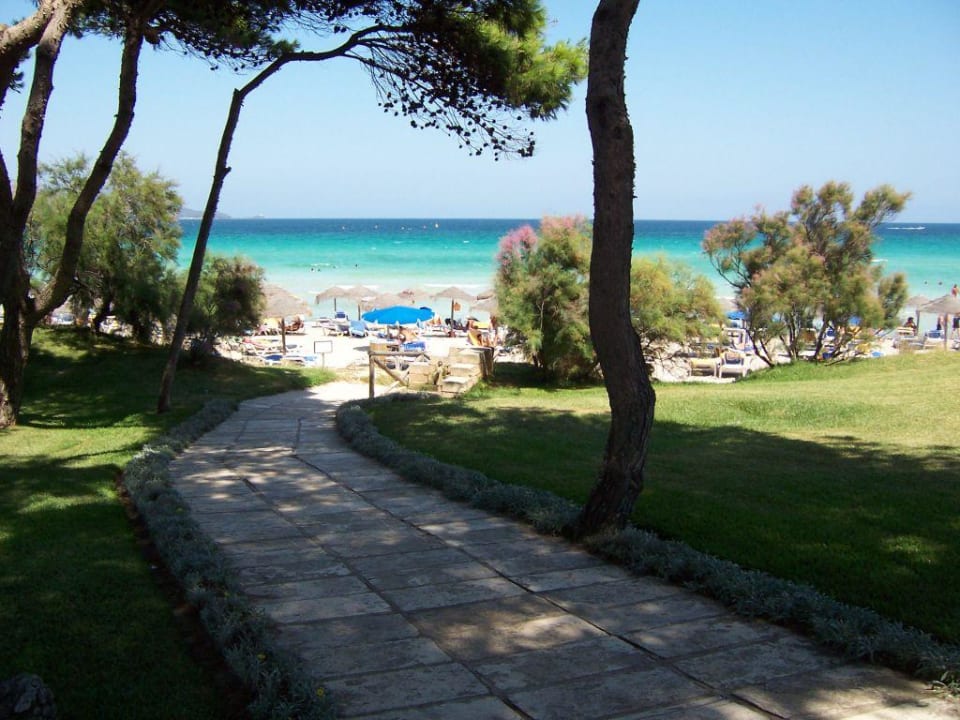 Weg zum Strand Iberostar Waves Playa de Muro