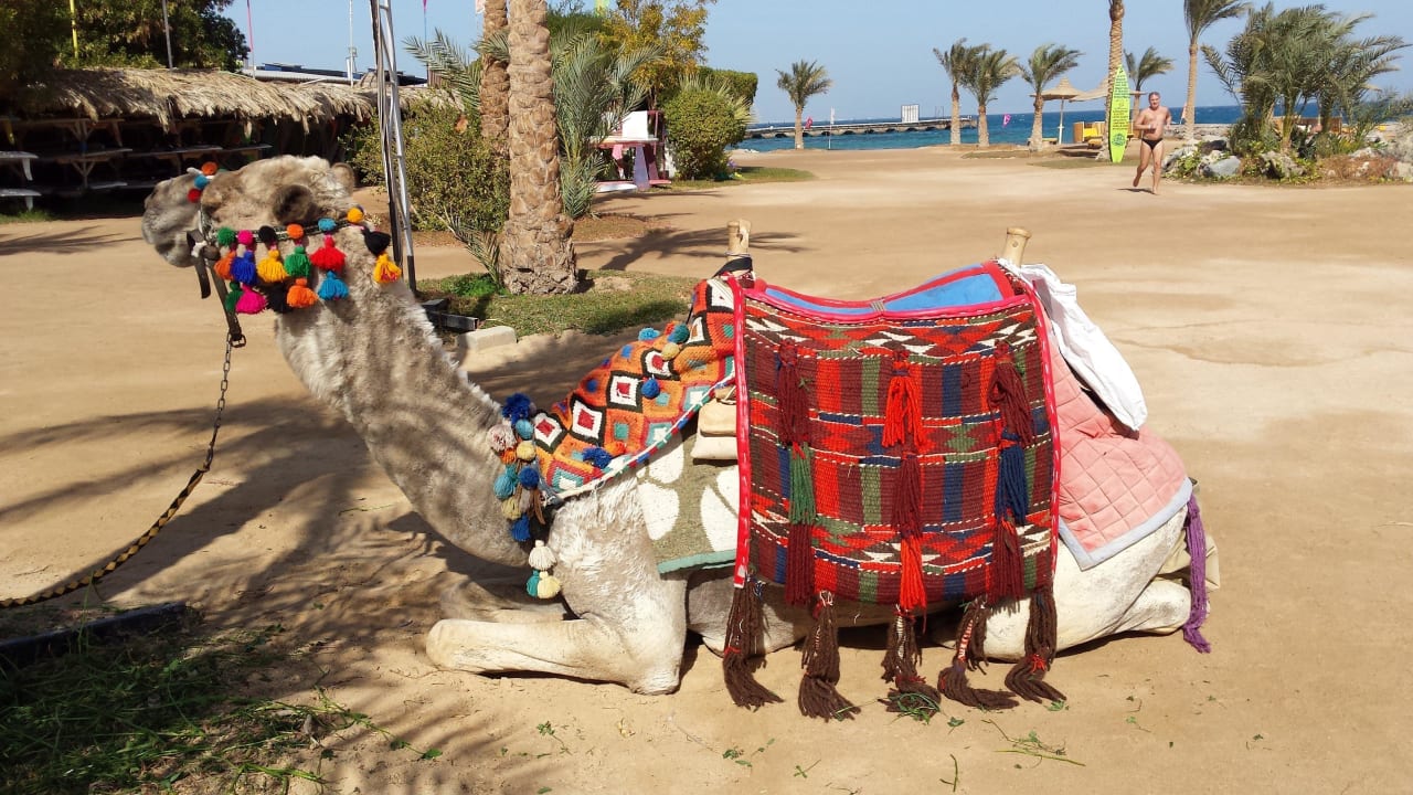 Пляж Desert Rose