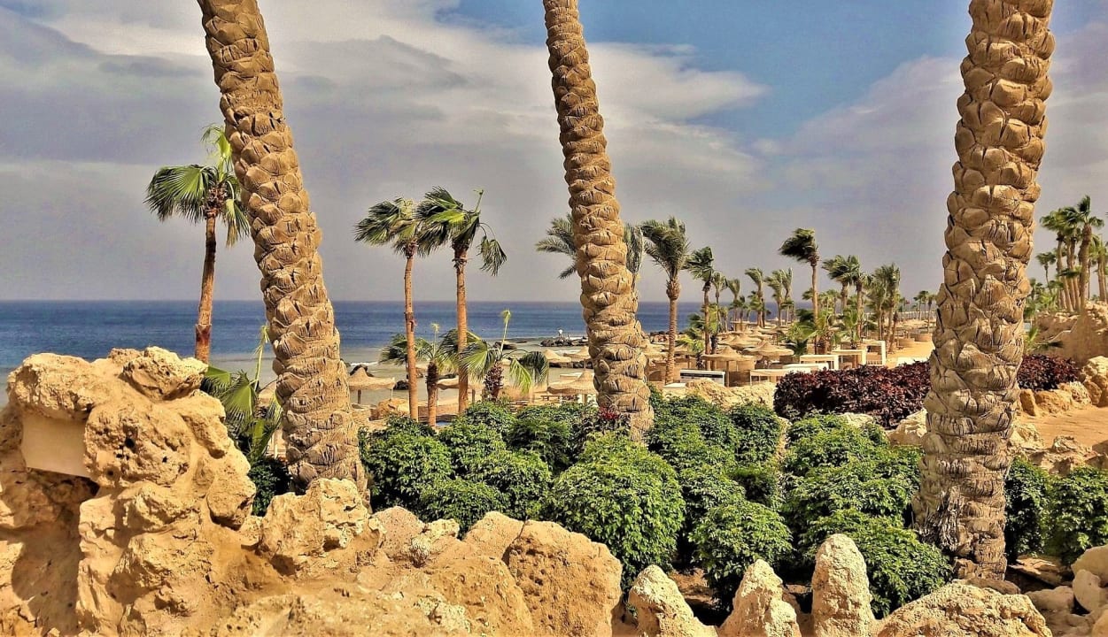 Strand Pickalbatros Citadel Resort