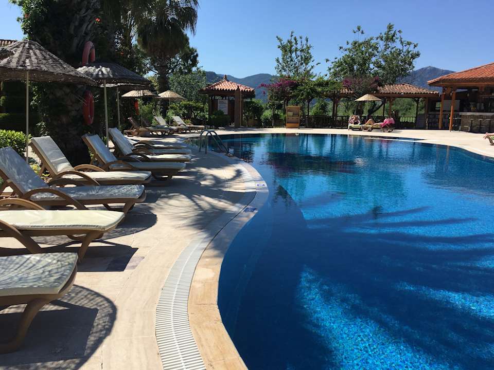 Pool Asur Hotel Assyrian