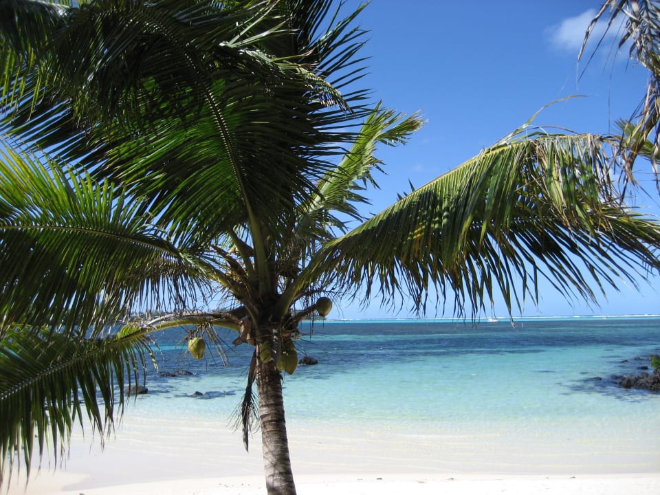 Kleiner Strand  Shandrani Beachcomber Resort & Spa