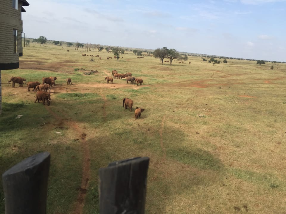 Ausblick Salt Lick Safari Lodge