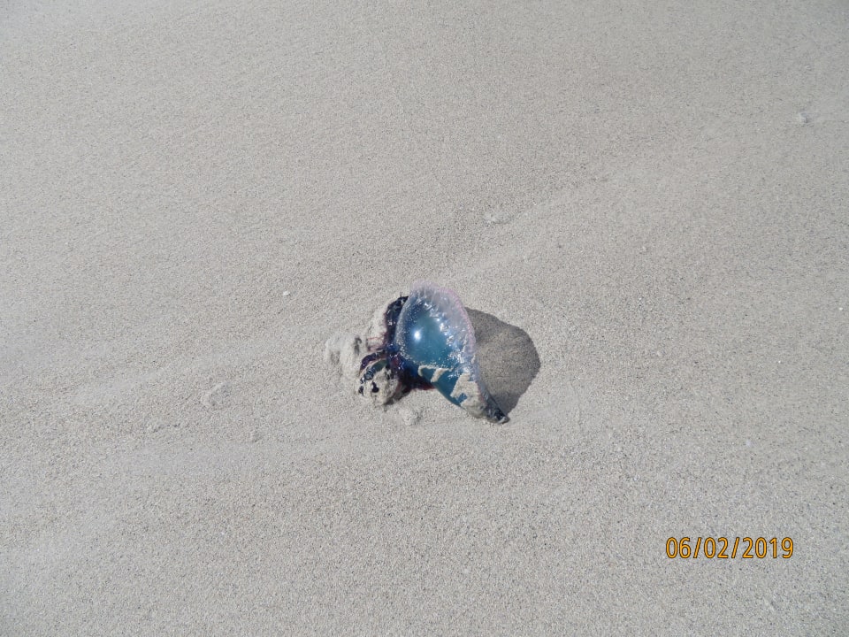 Strand Playa Vista Azul