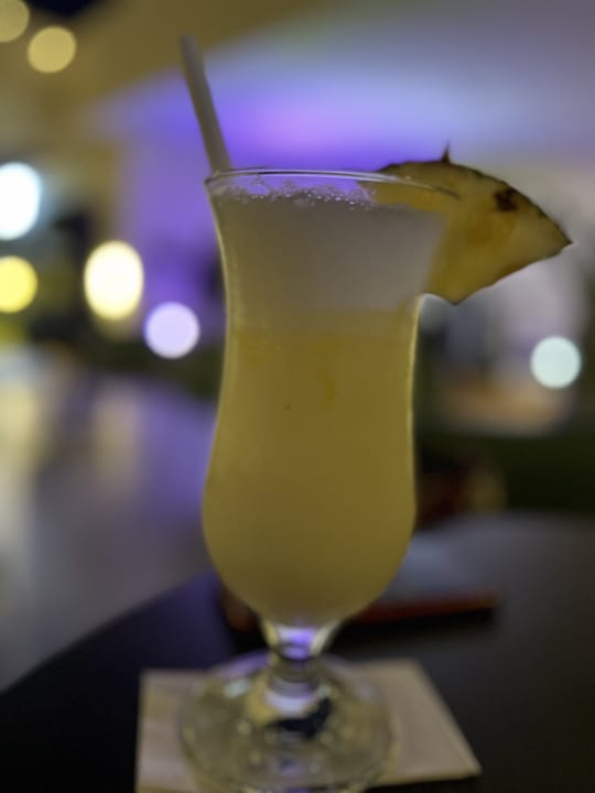 Gastro Paloma Oceana