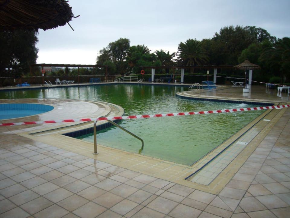 UPS..Heute mal Grünes Wasser Apollonia Beach Resort & Spa