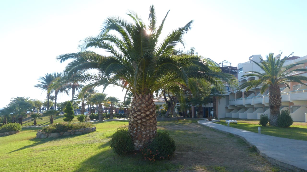 Grüne Gartenanlage Rodos Princess Beach Hotel & Spa