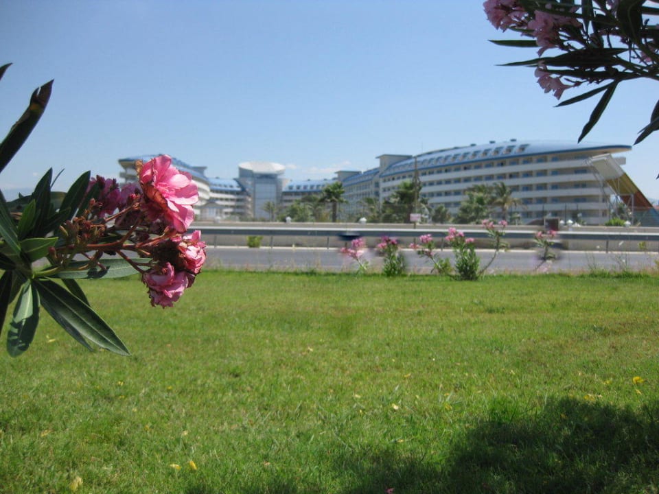 Blick vom Strand aufs Hotel Crystal Admiral