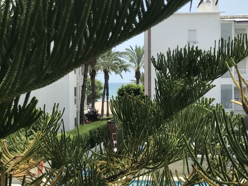Ausblick Hotel Atenea Park Suites & Apartments