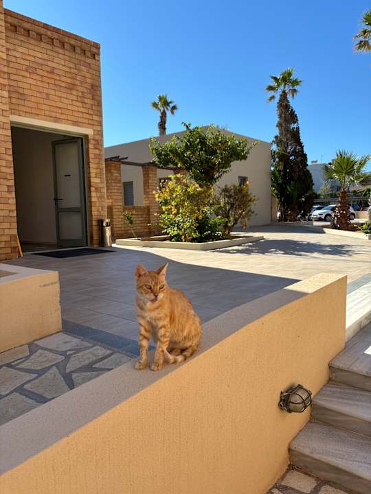 Außenansicht Bella Beach Hotel