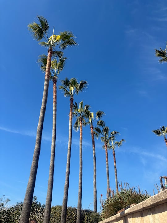 Ausblick Melas Resort Hotel