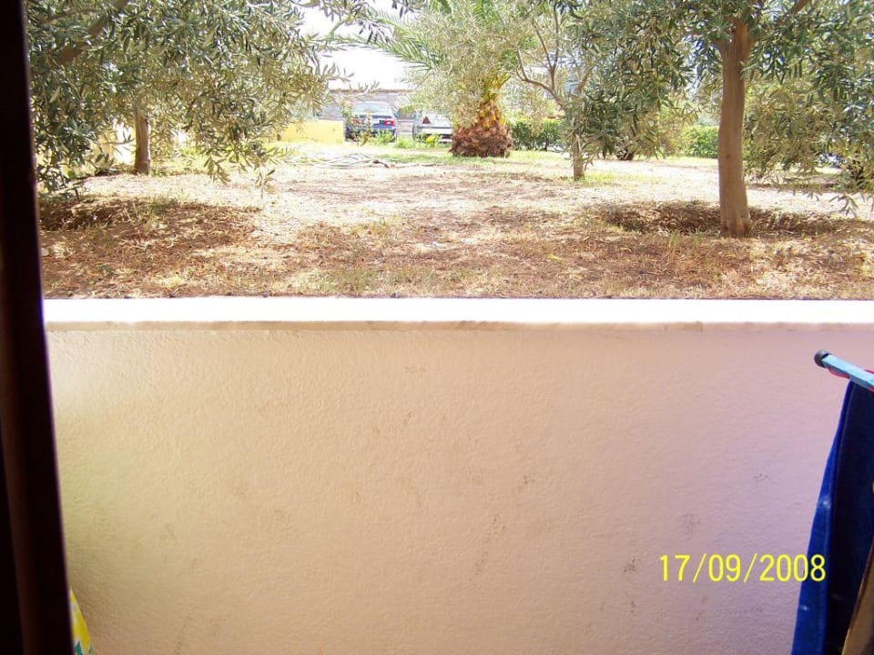 Blick aus Souteranzimmer Akrathos Beach Hotel