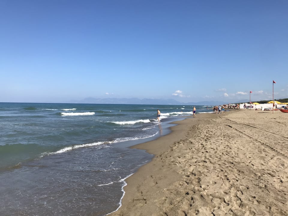 Strand Hotel Le Palme