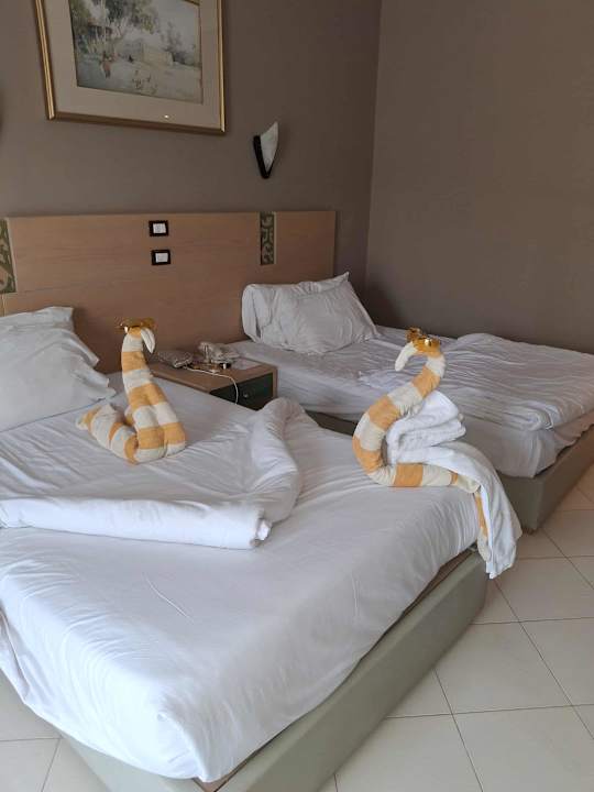 Zimmer Regina Resort and Aqua Park Hurghada