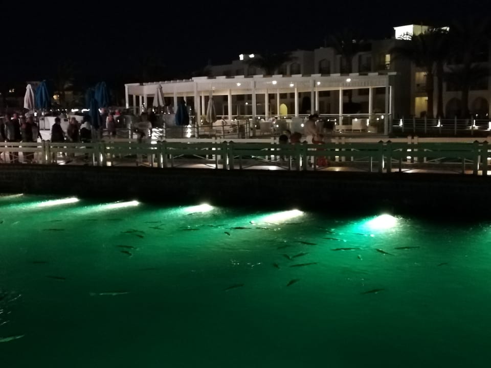 Sonstiges Pickalbatros Dana Beach Resort - Hurghada