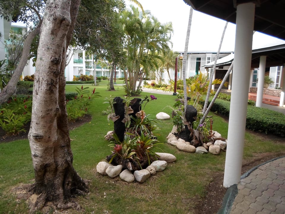  Schön zum Relaxen. Grand Paradise Playa Dorada