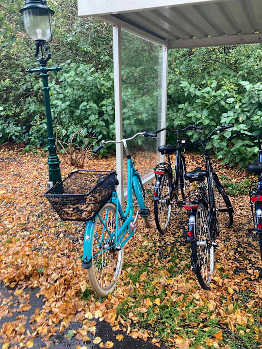 Außenansicht Seehotel Frankenhorst - BW Signature Collection