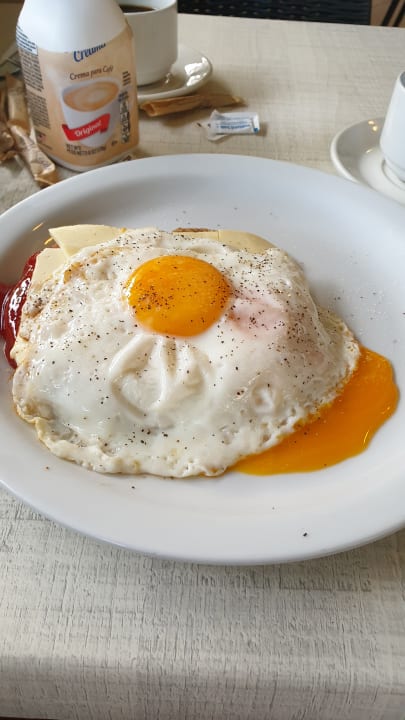 Gastro Wyndham Alltra Samana