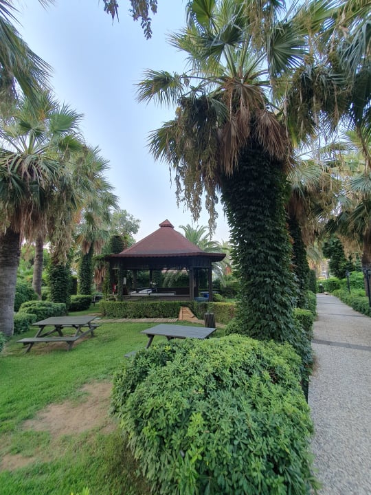 Gastro Paloma Oceana