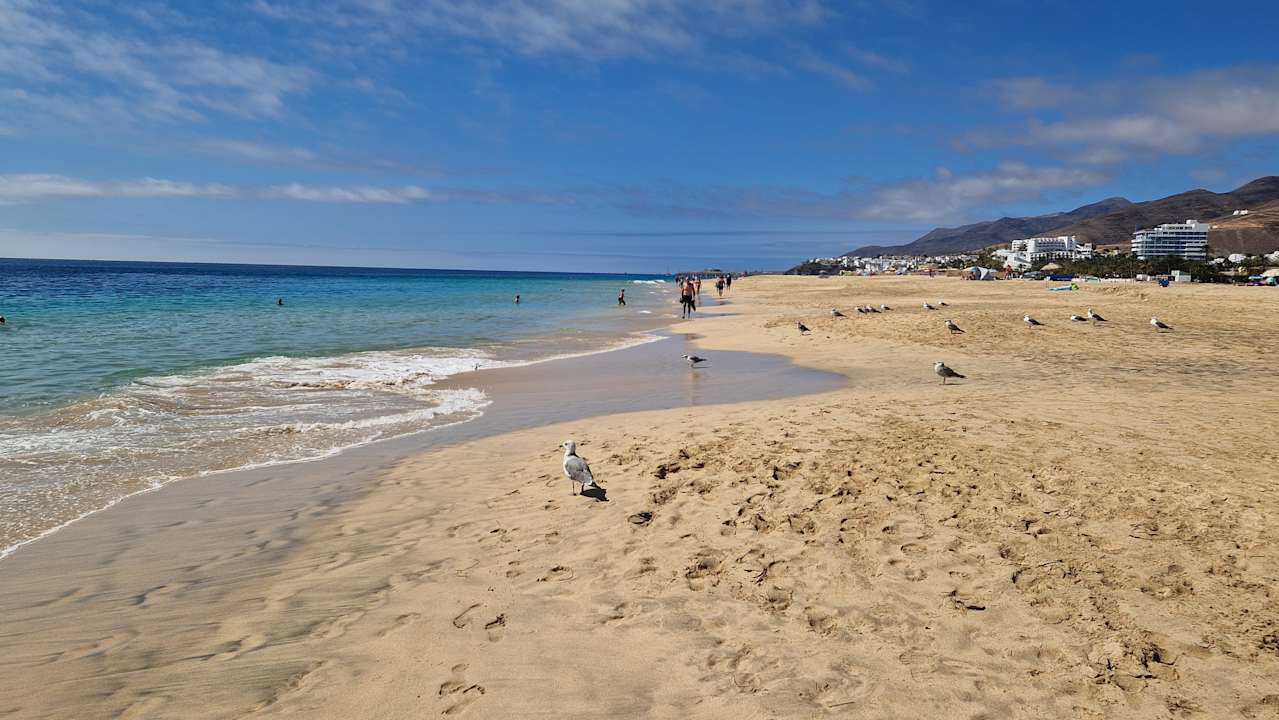 Strand MUR Hotel Faro Jandia & Spa Fuerteventura