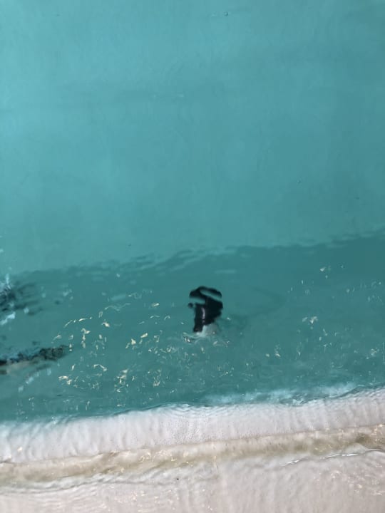 Pool Aldiana Club Ampflwang