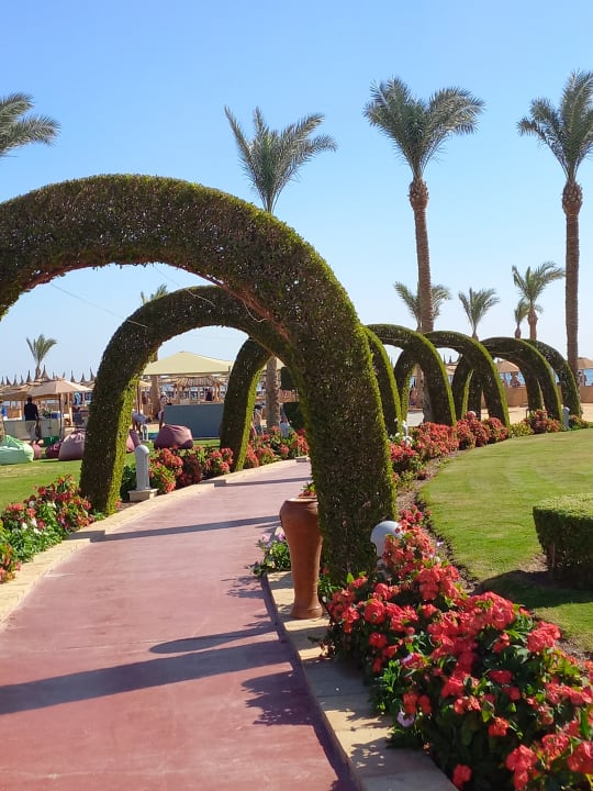 Gartenanlage Pickalbatros Palace Resort
