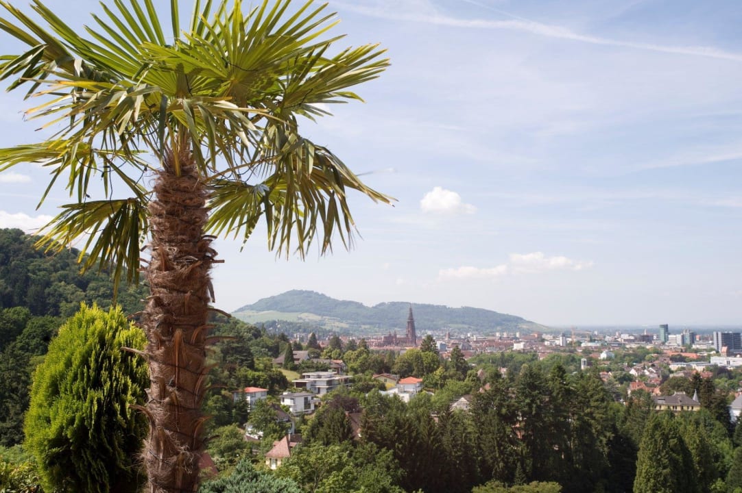 Blick auf Freiburg von der Barterrasse "St. Tropez" Mercure Hotel Panorama Freiburg