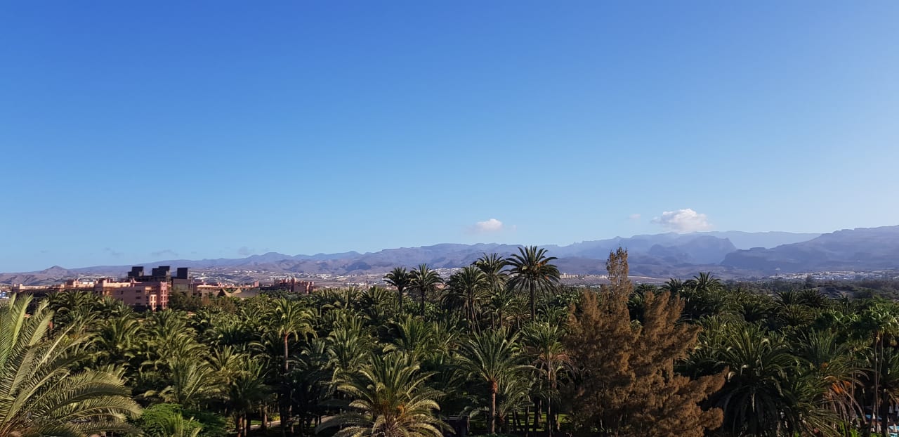 Ausblick Hotel Riu Palace Oasis