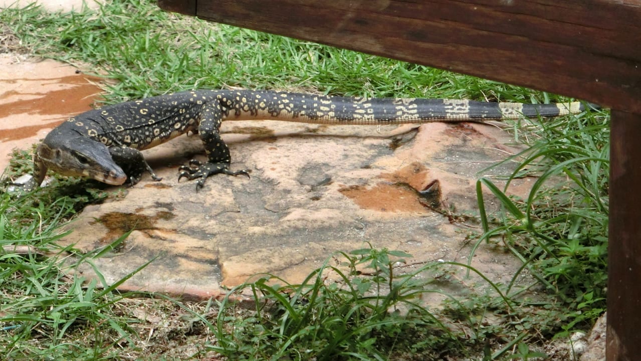 Gartenanlage Thai House Beach Resort