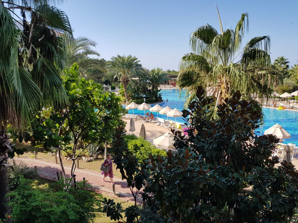 Gartenanlage Seaden Sea World Resort & Spa