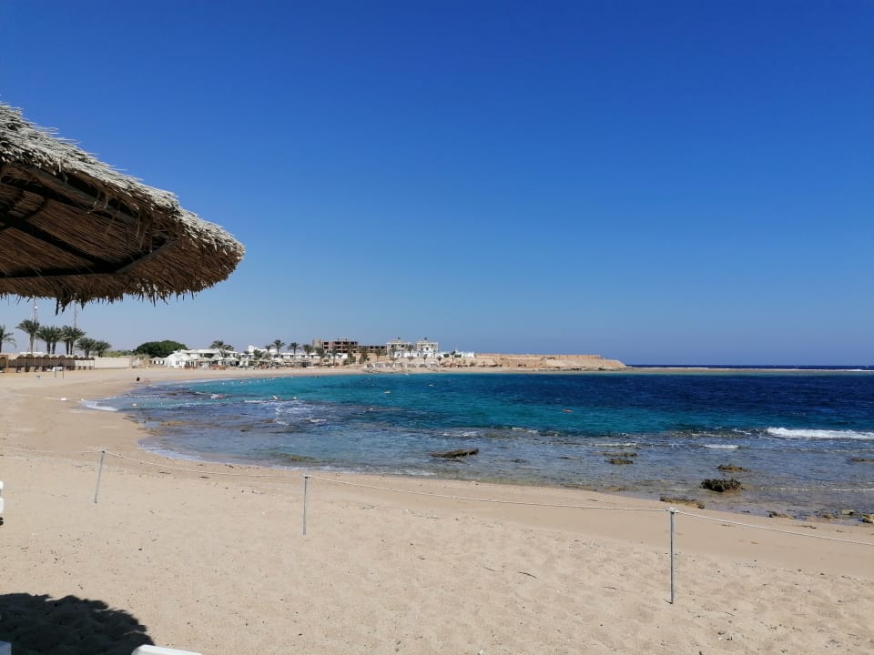 Strand Coral Sun Beach