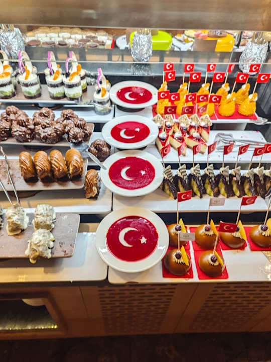 Gastro Seashell Vega