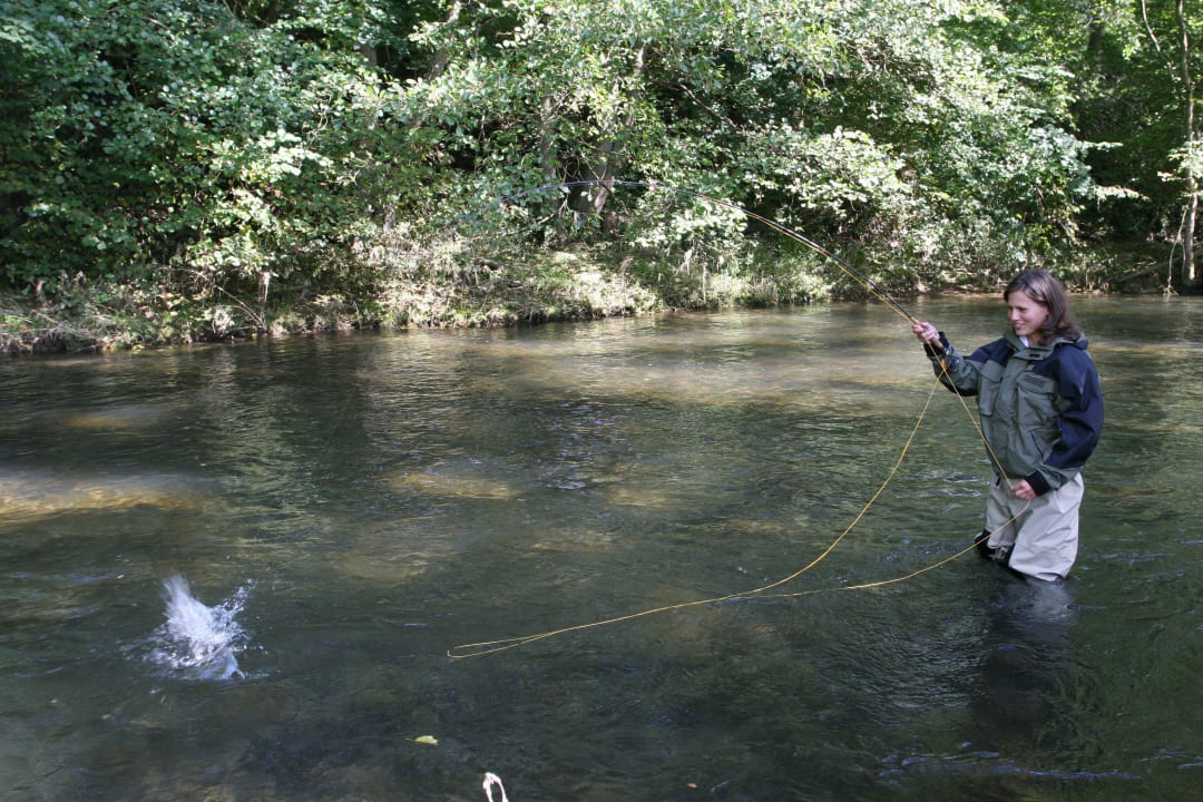 Fliegenfischen an der Wenne Landgasthof Seemer