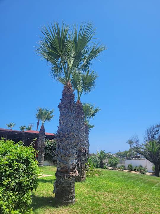 Gartenanlage Sahara Beach Aquapark & Resort