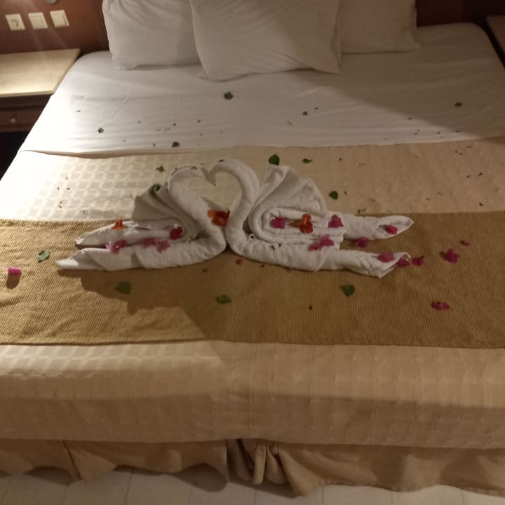 Zimmer Sunshine Rhodes