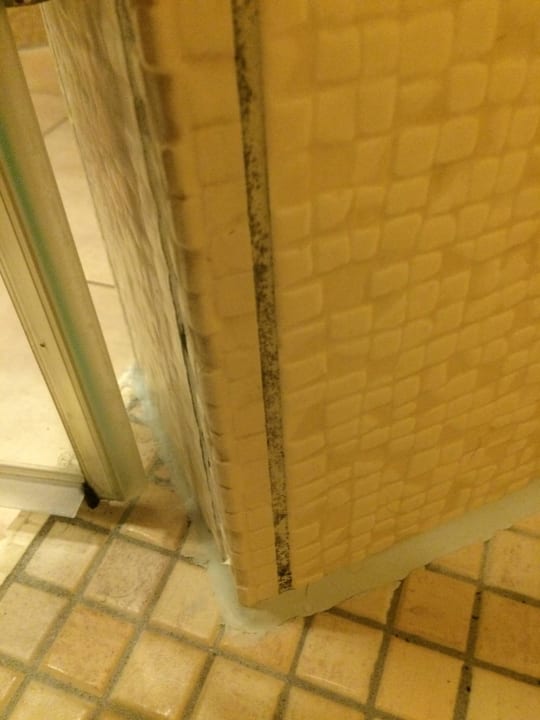 Schimmelige Fugen Haus Fernsicht