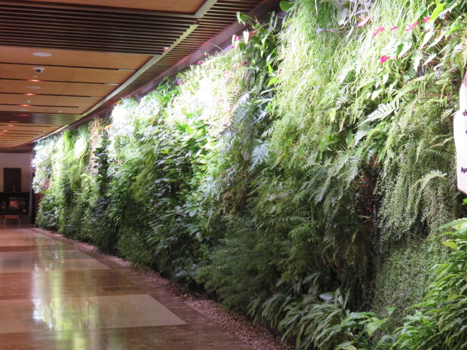 Weg zum Restaurant Sofitel Dubai The Palm Resort & Spa