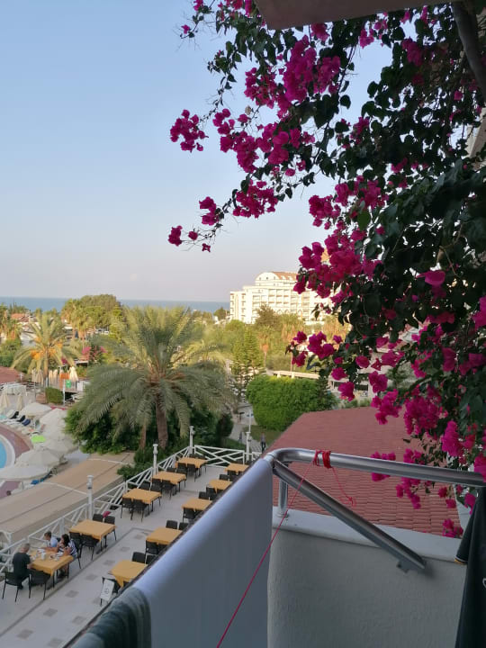 Ausblick Seaden Corolla Hotel