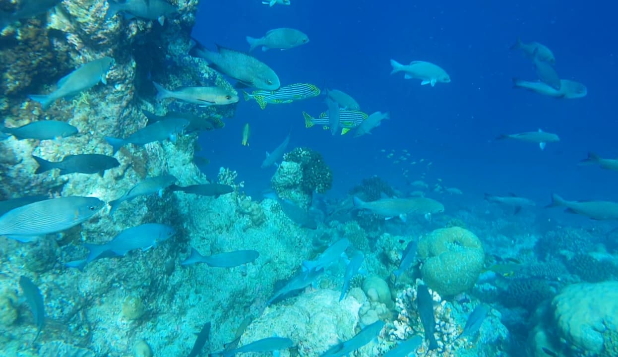 Sport & Freizeit Filitheyo Island Resort