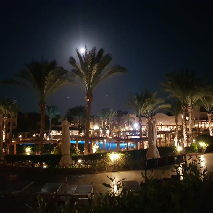 Pool Hotel JAZ Makadi Star & Spa