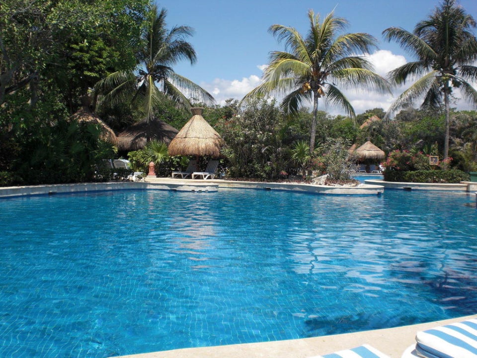 Gemeinsamer Pool vom Quetzal und Tucan Iberostar Waves Quetzal